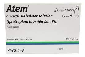 ATEM NEBU SOLN 250MCG 1ML 10’S