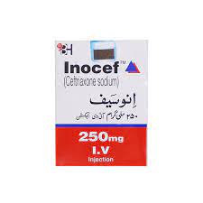 Inocef Injection Iv 250mg 1 Vial