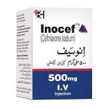 Inocef Injection Iv 500mg 1 Vial