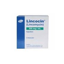 Lincocin Injection 300mg 5 Ampoules X 1ml