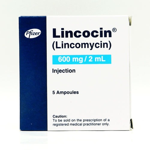 LINCOCIN INJ 600 MG 5 AMPX2 ML